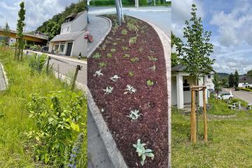 Die Beete in Brodenbach und Kobern-Gondorf wurden im Rahmen des Projektes „Grüne Stadt - Grünes Dorf“ begrünt. Foto: Valerian Dötsch/Heike Klein